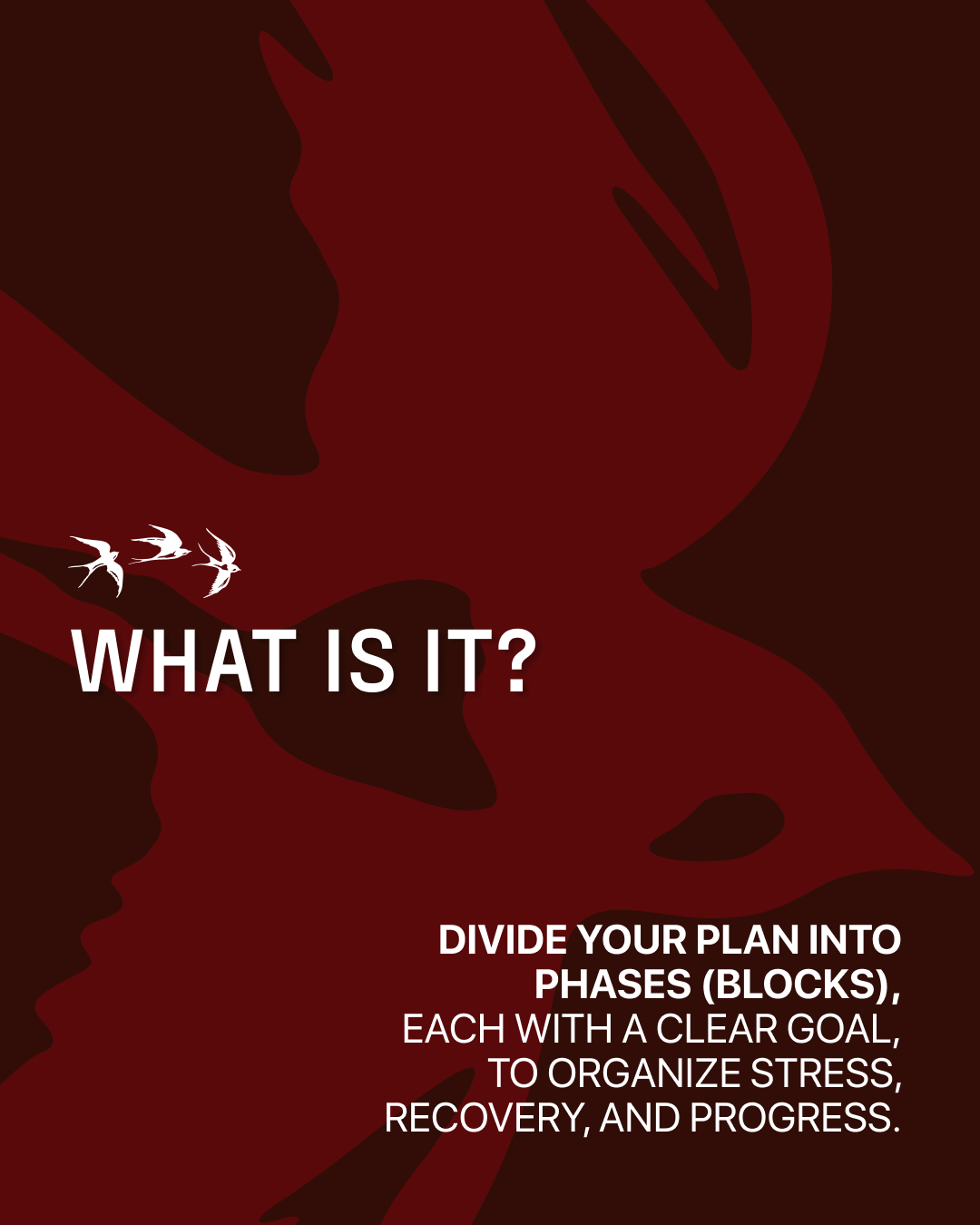 kotcha social media display